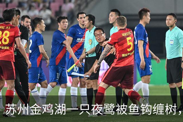 苏州金鸡湖一只夜鹭被鱼钩缠树，市民爬树救下，“有6个鱼钩，脚和翅膀全被钩住”，公园称此处并非垂钓点